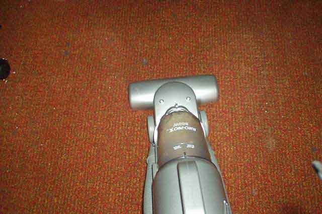 Stick Shark vs. Bad Kitty